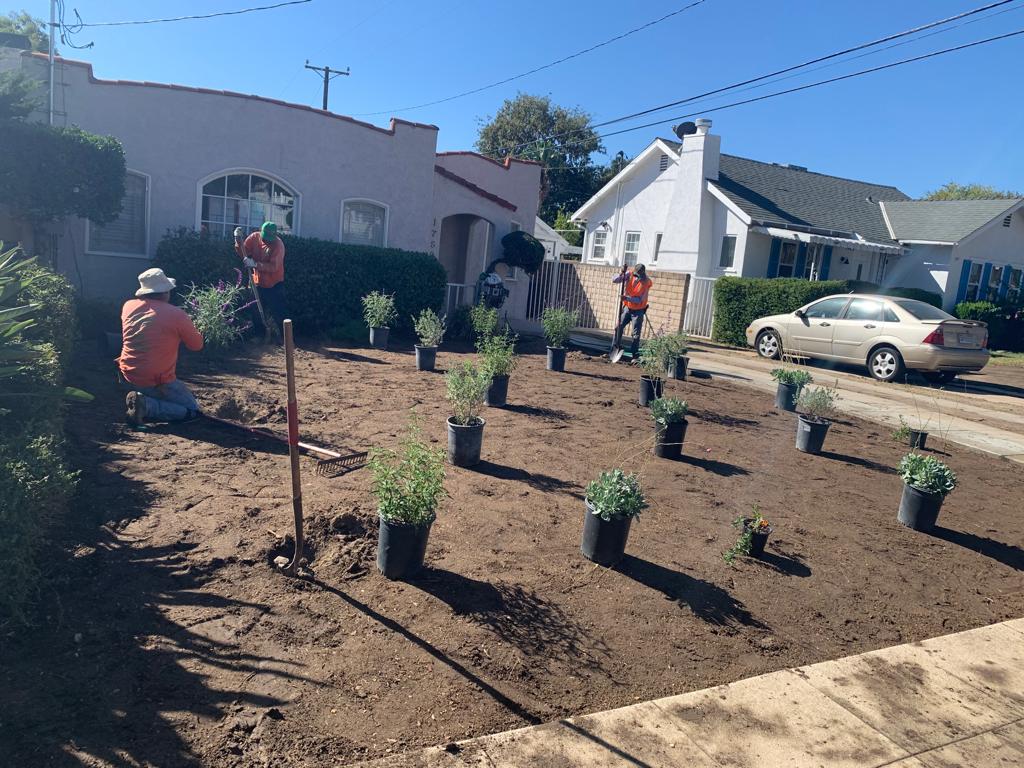 General Native Green Inc, Sustainable Landscape Design California, Sustainable Landscape Design CA, Sustainable Landscape Design Tujunga California, Sustainable Landscape Design Tujunga CA, Native Plants Tujunga California, Native Plants Tujunga CA, Mulch Application Tujunga California, Mulch Application Tujunga CA, Gardening Services Tujunga California, Gardening Services Tujunga CA, General Yard Tujunga California, General Yard Tujunga CA, Water Saving Irrigation Tujunga California, Water Saving Irrigation Tujunga CA, Artificial Turf Tujunga California, Artificial Turf Tujunga CA, Tree Trimming Tujunga California, Tree Trimming Tujunga CA, Brush Clearances Tujunga California, Brush Clearances Tujunga CA, Gutter Cleaning Tujunga California, Gutter Cleaning Tujunga CA, Hardscapes Tujunga California, Hardscapes Tujunga CA, Block Walls Tujunga California, Block Walls Tujunga CA, Landscape Lighting Tujunga California, Landscape Lighting Tujunga CA, Sustainable Landscape Design La Crescenta-Montrose California, Sustainable Landscape Design La Crescenta-Montrose CA, Native Plants La Crescenta-Montrose California, Native Plants La Crescenta-Montrose CA, Mulch Application La Crescenta-Montrose California, Mulch Application La Crescenta-Montrose CA, Gardening Services La Crescenta-Montrose California, Gardening Services La Crescenta-Montrose CA, General Yard La Crescenta-Montrose California, General Yard La Crescenta-Montrose CA, Water Saving Irrigation La Crescenta-Montrose California, Water Saving Irrigation La Crescenta-Montrose CA, Artificial Turf La Crescenta-Montrose California, Artificial Turf La Crescenta-Montrose CA, Tree Trimming La Crescenta-Montrose California, Tree Trimming La Crescenta-Montrose CA, Brush Clearances La Crescenta-Montrose California, Brush Clearances La Crescenta-Montrose CA, Gutter Cleaning La Crescenta-Montrose California, Gutter Cleaning La Crescenta-Montrose CA, Hardscapes La Crescenta-Montrose California, Hardscapes La Crescenta-Montrose CA, Block Walls La Crescenta-Montrose California, Block Walls La Crescenta-Montrose CA, Landscape Lighting La Crescenta-Montrose California, Landscape Lighting La Crescenta-Montrose CA, Sustainable Landscape Design Silver Lake California, Sustainable Landscape Design Silver Lake CA, Native Plants Silver Lake California, Native Plants Silver Lake CA, Mulch Application Silver Lake California, Mulch Application Silver Lake CA, Gardening Services Silver Lake California, Gardening Services Silver Lake CA, General Yard Silver Lake California, General Yard Silver Lake CA, Water Saving Irrigation Silver Lake California, Water Saving Irrigation Silver Lake CA, Artificial Turf Silver Lake California, Artificial Turf Silver Lake CA, Tree Trimming Silver Lake California, Tree Trimming Silver Lake CA, Brush Clearances Silver Lake California, Brush Clearances Silver Lake CA, Gutter Cleaning Silver Lake California, Gutter Cleaning Silver Lake CA, Hardscapes Silver Lake California, Hardscapes Silver Lake CA, Block Walls Silver Lake California, Block Walls Silver Lake CA, Landscape Lighting Silver Lake California, Landscape Lighting Silver Lake CA, Sustainable Landscape Design Echo Park California, Sustainable Landscape Design Echo Park CA, Native Plants Echo Park California, Native Plants Echo Park CA, Mulch Application Echo Park California, Mulch Application Echo Park CA, Gardening Services Echo Park California, Gardening Services Echo Park CA, General Yard Echo Park California, General Yard Echo Park CA, Water Saving Irrigation Echo Park California, Water Saving Irrigation Echo Park CA, Artificial Turf Echo Park California, Artificial Turf Echo Park CA, Tree Trimming Echo Park California, Tree Trimming Echo Park CA, Brush Clearances Echo Park California, Brush Clearances Echo Park CA, Gutter Cleaning Echo Park California, Gutter Cleaning Echo Park CA, Hardscapes Echo Park California, Hardscapes Echo Park CA, Block Walls Echo Park California, Block Walls Echo Park CA, Landscape Lighting Echo Park California, Landscape Lighting Echo Park CA, Sustainable Landscape Design Shadow Hills California, Sustainable Landscape Design Shadow Hills CA, Native Plants Shadow Hills California, Native Plants Shadow Hills CA, Mulch Application Shadow Hills California, Mulch Application Shadow Hills CA, Gardening Services Shadow Hills California, Gardening Services Shadow Hills CA, General Yard Shadow Hills California, General Yard Shadow Hills CA, Water Saving Irrigation Shadow Hills California, Water Saving Irrigation Shadow Hills CA, Artificial Turf Shadow Hills California, Artificial Turf Shadow Hills CA, Tree Trimming Shadow Hills California, Tree Trimming Shadow Hills CA, Brush Clearances Shadow Hills California, Brush Clearances Shadow Hills CA, Gutter Cleaning Shadow Hills California, Gutter Cleaning Shadow Hills CA, Hardscapes Shadow Hills California, Hardscapes Shadow Hills CA, Block Walls Shadow Hills California, Block Walls Shadow Hills CA, Landscape Lighting Shadow Hills California, Landscape Lighting Shadow Hills CA, Sustainable Landscape Design North Hills California, Sustainable Landscape Design North Hills CA, Native Plants North Hills California, Native Plants North Hills CA, Mulch Application North Hills California, Mulch Application North Hills CA, Gardening Services North Hills California, Gardening Services North Hills CA, General Yard North Hills California, General Yard North Hills CA, Water Saving Irrigation North Hills California, Water Saving Irrigation North Hills CA, Artificial Turf North Hills California, Artificial Turf North Hills CA, Tree Trimming North Hills California, Tree Trimming North Hills CA, Brush Clearances North Hills California, Brush Clearances North Hills CA, Gutter Cleaning North Hills California, Gutter Cleaning North Hills CA, Hardscapes North Hills California, Hardscapes North Hills CA, Block Walls North Hills California, Block Walls North Hills CA, Landscape Lighting North Hills California, Landscape Lighting North Hills CA, Sustainable Landscape Design Encino California, Sustainable Landscape Design Encino CA, Native Plants Encino California, Native Plants Encino CA, Mulch Application Encino California, Mulch Application Encino CA, Gardening Services Encino California, Gardening Services Encino CA, General Yard Encino California, General Yard Encino CA, Water Saving Irrigation Encino California, Water Saving Irrigation Encino CA, Artificial Turf Encino California, Artificial Turf Encino CA, Tree Trimming Encino California, Tree Trimming Encino CA, Brush Clearances Encino California, Brush Clearances Encino CA, Gutter Cleaning Encino California, Gutter Cleaning Encino CA, Hardscapes Encino California, Hardscapes Encino CA, Block Walls Encino California, Block Walls Encino CA, Landscape Lighting Encino California, Landscape Lighting Encino CA, Sustainable Landscape Design Reseda California, Sustainable Landscape Design Reseda CA, Native Plants Reseda California, Native Plants Reseda CA, Mulch Application Reseda California, Mulch Application Reseda CA, Gardening Services Reseda California, Gardening Services Reseda CA, General Yard Reseda California, General Yard Reseda CA, Water Saving Irrigation Reseda California, Water Saving Irrigation Reseda CA, Artificial Turf Reseda California, Artificial Turf Reseda CA, Tree Trimming Reseda California, Tree Trimming Reseda CA, Brush Clearances Reseda California, Brush Clearances Reseda CA, Gutter Cleaning Reseda California, Gutter Cleaning Reseda CA, Hardscapes Reseda California, Hardscapes Reseda CA, Block Walls Reseda California, Block Walls Reseda CA, Landscape Lighting Reseda California, Landscape Lighting Reseda CA, Sustainable Landscape Design Van Nuys California, Sustainable Landscape Design Van Nuys CA, Native Plants Van Nuys California, Native Plants Van Nuys CA, Mulch Application Van Nuys California, Mulch Application Van Nuys CA, Gardening Services Van Nuys California, Gardening Services Van Nuys CA, General Yard Van Nuys California, General Yard Van Nuys CA, Water Saving Irrigation Van Nuys California, Water Saving Irrigation Van Nuys CA, Artificial Turf Van Nuys California, Artificial Turf Van Nuys CA, Tree Trimming Van Nuys California, Tree Trimming Van Nuys CA, Brush Clearances Van Nuys California, Brush Clearances Van Nuys CA, Gutter Cleaning Van Nuys California, Gutter Cleaning Van Nuys CA, Hardscapes Van Nuys California, Hardscapes Van Nuys CA, Block Walls Van Nuys California, Block Walls Van Nuys CA, Landscape Lighting Van Nuys California, Landscape Lighting Van Nuys CA, Sustainable Landscape Design North Hollywood California, Sustainable Landscape Design North Hollywood CA, Native Plants North Hollywood California, Native Plants North Hollywood CA, Mulch Application North Hollywood California, Mulch Application North Hollywood CA, Gardening Services North Hollywood California, Gardening Services North Hollywood CA, General Yard North Hollywood California, General Yard North Hollywood CA, Water Saving Irrigation North Hollywood California, Water Saving Irrigation North Hollywood CA, Artificial Turf North Hollywood California, Artificial Turf North Hollywood CA, Tree Trimming North Hollywood California, Tree Trimming North Hollywood CA, Brush Clearances North Hollywood California, Brush Clearances North Hollywood CA, Gutter Cleaning North Hollywood California, Gutter Cleaning North Hollywood CA, Hardscapes North Hollywood California, Hardscapes North Hollywood CA, Block Walls North Hollywood California, Block Walls North Hollywood CA, Landscape Lighting North Hollywood California, Landscape Lighting North Hollywood CA, Sustainable Landscape Design Burbank California, Sustainable Landscape Design Burbank CA, Native Plants Burbank California, Native Plants Burbank CA, Mulch Application Burbank California, Mulch Application Burbank CA, Gardening Services Burbank California, Gardening Services Burbank CA, General Yard Burbank California, General Yard Burbank CA, Water Saving Irrigation Burbank California, Water Saving Irrigation Burbank CA, Artificial Turf Burbank California, Artificial Turf Burbank CA, Tree Trimming Burbank California, Tree Trimming Burbank CA, Brush Clearances Burbank California, Brush Clearances Burbank CA, Gutter Cleaning Burbank California, Gutter Cleaning Burbank CA, Hardscapes Burbank California, Hardscapes Burbank CA, Block Walls Burbank California, Block Walls Burbank CA, Landscape Lighting Burbank California, Landscape Lighting Burbank CA, Sustainable Landscape Design Eagle Rock California, Sustainable Landscape Design Eagle Rock CA, Native Plants Eagle Rock California, Native Plants Eagle Rock CA, Mulch Application Eagle Rock California, Mulch Application Eagle Rock CA, Gardening Services Eagle Rock California, Gardening Services Eagle Rock CA, General Yard Eagle Rock California, General Yard Eagle Rock CA, Water Saving Irrigation Eagle Rock California, Water Saving Irrigation Eagle Rock CA, Artificial Turf Eagle Rock California, Artificial Turf Eagle Rock CA, Tree Trimming Eagle Rock California, Tree Trimming Eagle Rock CA, Brush Clearances Eagle Rock California, Brush Clearances Eagle Rock CA, Gutter Cleaning Eagle Rock California, Gutter Cleaning Eagle Rock CA, Hardscapes Eagle Rock California, Hardscapes Eagle Rock CA, Block Walls Eagle Rock California, Block Walls Eagle Rock CA, Landscape Lighting Eagle Rock California, Landscape Lighting Eagle Rock CA, Sustainable Landscape Design Highland Park California, Sustainable Landscape Design Highland Park CA, Native Plants Highland Park California, Native Plants Highland Park CA, Mulch Application Highland Park California, Mulch Application Highland Park CA, Gardening Services Highland Park California, Gardening Services Highland Park CA, General Yard Highland Park California, General Yard Highland Park CA, Water Saving Irrigation Highland Park California, Water Saving Irrigation Highland Park CA, Artificial Turf Highland Park California, Artificial Turf Highland Park CA, Tree Trimming Highland Park California, Tree Trimming Highland Park CA, Brush Clearances Highland Park California, Brush Clearances Highland Park CA, Gutter Cleaning Highland Park California, Gutter Cleaning Highland Park CA, Hardscapes Highland Park California, Hardscapes Highland Park CA, Block Walls Highland Park California, Block Walls Highland Park CA, Landscape Lighting Highland Park California, Landscape Lighting Highland Park CA, Sustainable Landscape Design San Gabriel California, Sustainable Landscape Design San Gabriel CA, Native Plants San Gabriel California, Native Plants San Gabriel CA, Mulch Application San Gabriel California, Mulch Application San Gabriel CA, Gardening Services San Gabriel California, Gardening Services San Gabriel CA, General Yard San Gabriel California, General Yard San Gabriel CA, Water Saving Irrigation San Gabriel California, Water Saving Irrigation San Gabriel CA, Artificial Turf San Gabriel California, Artificial Turf San Gabriel CA, Tree Trimming San Gabriel California, Tree Trimming San Gabriel CA, Brush Clearances San Gabriel California, Brush Clearances San Gabriel CA, Gutter Cleaning San Gabriel California, Gutter Cleaning San Gabriel CA, Hardscapes San Gabriel California, Hardscapes San Gabriel CA, Block Walls San Gabriel California, Block Walls San Gabriel CA, Landscape Lighting San Gabriel California, Landscape Lighting San Gabriel CA, Sustainable Landscape Design Atwater Village California, Sustainable Landscape Design Atwater Village CA, Native Plants Atwater Village California, Native Plants Atwater Village CA, Mulch Application Atwater Village California, Mulch Application Atwater Village CA, Gardening Services Atwater Village California, Gardening Services Atwater Village CA, General Yard Atwater Village California, General Yard Atwater Village CA, Water Saving Irrigation Atwater Village California, Water Saving Irrigation Atwater Village CA, Artificial Turf Atwater Village California, Artificial Turf Atwater Village CA, Tree Trimming Atwater Village California, Tree Trimming Atwater Village CA, Brush Clearances Atwater Village California, Brush Clearances Atwater Village CA, Gutter Cleaning Atwater Village California, Gutter Cleaning Atwater Village CA, Hardscapes Atwater Village California, Hardscapes Atwater Village CA, Block Walls Atwater Village California, Block Walls Atwater Village CA, Landscape Lighting Atwater Village California, Landscape Lighting Atwater Village CA, Sustainable Landscape Design Altadena California, Sustainable Landscape Design Altadena CA, Native Plants Altadena California, Native Plants Altadena CA, Mulch Application Altadena California, Mulch Application Altadena CA, Gardening Services Altadena California, Gardening Services Altadena CA, General Yard Altadena California, General Yard Altadena CA, Water Saving Irrigation Altadena California, Water Saving Irrigation Altadena CA, Artificial Turf Altadena California, Artificial Turf Altadena CA, Tree Trimming Altadena California, Tree Trimming Altadena CA, Brush Clearances Altadena California, Brush Clearances Altadena CA, Gutter Cleaning Altadena California, Gutter Cleaning Altadena CA, Hardscapes Altadena California, Hardscapes Altadena CA, Block Walls Altadena California, Block Walls Altadena CA, Landscape Lighting Altadena California, Landscape Lighting Altadena CA, Sustainable Landscape Design Pasadena California, Sustainable Landscape Design Pasadena CA, Native Plants Pasadena California, Native Plants Pasadena CA, Mulch Application Pasadena California, Mulch Application Pasadena CA, Gardening Services Pasadena California, Gardening Services Pasadena CA, General Yard Pasadena California, General Yard Pasadena CA, Water Saving Irrigation Pasadena California, Water Saving Irrigation Pasadena CA, Artificial Turf Pasadena California, Artificial Turf Pasadena CA, Tree Trimming Pasadena California, Tree Trimming Pasadena CA, Brush Clearances Pasadena California, Brush Clearances Pasadena CA, Gutter Cleaning Pasadena California, Gutter Cleaning Pasadena CA, Hardscapes Pasadena California, Hardscapes Pasadena CA, Block Walls Pasadena California, Block Walls Pasadena CA, Landscape Lighting Pasadena California, Landscape Lighting Pasadena CA, Sustainable Landscape Design Echo Park California, Sustainable Landscape Design Echo Park CA, Native Plants Echo Park California, Native Plants Echo Park CA, Mulch Application Echo Park California, Mulch Application Echo Park CA, Gardening Services Echo Park California, Gardening Services Echo Park CA, General Yard Echo Park California, General Yard Echo Park CA, Water Saving Irrigation Echo Park California, Water Saving Irrigation Echo Park CA, Artificial Turf Echo Park California, Artificial Turf Echo Park CA, Tree Trimming Echo Park California, Tree Trimming Echo Park CA, Brush Clearances Echo Park California, Brush Clearances Echo Park CA, Gutter Cleaning Echo Park California, Gutter Cleaning Echo Park CA, Hardscapes Echo Park California, Hardscapes Echo Park CA, Block Walls Echo Park California, Block Walls Echo Park CA, Landscape Lighting Echo Park California, Landscape Lighting Echo Park CA, Sustainable Landscape Design Granada Hills California, Sustainable Landscape Design Granada Hills CA, Native Plants Granada Hills California, Native Plants Granada Hills CA, Mulch Application Granada Hills California, Mulch Application Granada Hills CA, Gardening Services Granada Hills California, Gardening Services Granada Hills CA, General Yard Granada Hills California, General Yard Granada Hills CA, Water Saving Irrigation Granada Hills California, Water Saving Irrigation Granada Hills CA, Artificial Turf Granada Hills California, Artificial Turf Granada Hills CA, Tree Trimming Granada Hills California, Tree Trimming Granada Hills CA, Brush Clearances Granada Hills California, Brush Clearances Granada Hills CA, Gutter Cleaning Granada Hills California, Gutter Cleaning Granada Hills CA, Hardscapes Granada Hills California, Hardscapes Granada Hills CA, Block Walls Granada Hills California, Block Walls Granada Hills CA, Landscape Lighting Granada Hills California, Landscape Lighting Granada Hills CA, Sustainable Landscape Design Tarzana California, Sustainable Landscape Design Tarzana CA, Native Plants Tarzana California, Native Plants Tarzana CA, Mulch Application Tarzana California, Mulch Application Tarzana CA, Gardening Services Tarzana California, Gardening Services Tarzana CA, General Yard Tarzana California, General Yard Tarzana CA, Water Saving Irrigation Tarzana California, Water Saving Irrigation Tarzana CA, Artificial Turf Tarzana California, Artificial Turf Tarzana CA, Tree Trimming Tarzana California, Tree Trimming Tarzana CA, Brush Clearances Tarzana California, Brush Clearances Tarzana CA, Gutter Cleaning Tarzana California, Gutter Cleaning Tarzana CA, Hardscapes Tarzana California, Hardscapes Tarzana CA, Block Walls Tarzana California, Block Walls Tarzana CA, Landscape Lighting Tarzana California, Landscape Lighting Tarzana CA, Sustainable Landscape Design Porter Ranch California, Sustainable Landscape Design Porter Ranch CA, Native Plants Porter Ranch California, Native Plants Porter Ranch CA, Mulch Application Porter Ranch California, Mulch Application Porter Ranch CA, Gardening Services Porter Ranch California, Gardening Services Porter Ranch CA, General Yard Porter Ranch California, General Yard Porter Ranch CA, Water Saving Irrigation Porter Ranch California, Water Saving Irrigation Porter Ranch CA, Artificial Turf Porter Ranch California, Artificial Turf Porter Ranch CA, Tree Trimming Porter Ranch California, Tree Trimming Porter Ranch CA, Brush Clearances Porter Ranch California, Brush Clearances Porter Ranch CA, Gutter Cleaning Porter Ranch California, Gutter Cleaning Porter Ranch CA, Hardscapes Porter Ranch California, Hardscapes Porter Ranch CA, Block Walls Porter Ranch California, Block Walls Porter Ranch CA, Landscape Lighting Porter Ranch California, Landscape Lighting Porter Ranch CA,