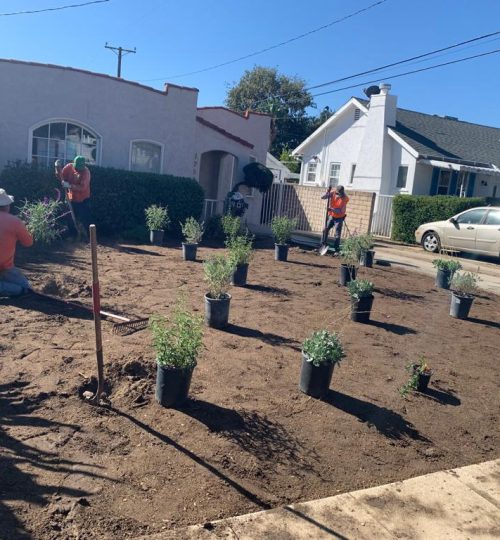 General Native Green Inc, Sustainable Landscape Design California, Sustainable Landscape Design CA, Sustainable Landscape Design Tujunga California, Sustainable Landscape Design Tujunga CA, Native Plants Tujunga California, Native Plants Tujunga CA, Mulch Application Tujunga California, Mulch Application Tujunga CA, Gardening Services Tujunga California, Gardening Services Tujunga CA, General Yard Tujunga California, General Yard Tujunga CA, Water Saving Irrigation Tujunga California, Water Saving Irrigation Tujunga CA, Artificial Turf Tujunga California, Artificial Turf Tujunga CA, Tree Trimming Tujunga California, Tree Trimming Tujunga CA, Brush Clearances Tujunga California, Brush Clearances Tujunga CA, Gutter Cleaning Tujunga California, Gutter Cleaning Tujunga CA, Hardscapes Tujunga California, Hardscapes Tujunga CA, Block Walls Tujunga California, Block Walls Tujunga CA, Landscape Lighting Tujunga California, Landscape Lighting Tujunga CA, Sustainable Landscape Design La Crescenta-Montrose California, Sustainable Landscape Design La Crescenta-Montrose CA, Native Plants La Crescenta-Montrose California, Native Plants La Crescenta-Montrose CA, Mulch Application La Crescenta-Montrose California, Mulch Application La Crescenta-Montrose CA, Gardening Services La Crescenta-Montrose California, Gardening Services La Crescenta-Montrose CA, General Yard La Crescenta-Montrose California, General Yard La Crescenta-Montrose CA, Water Saving Irrigation La Crescenta-Montrose California, Water Saving Irrigation La Crescenta-Montrose CA, Artificial Turf La Crescenta-Montrose California, Artificial Turf La Crescenta-Montrose CA, Tree Trimming La Crescenta-Montrose California, Tree Trimming La Crescenta-Montrose CA, Brush Clearances La Crescenta-Montrose California, Brush Clearances La Crescenta-Montrose CA, Gutter Cleaning La Crescenta-Montrose California, Gutter Cleaning La Crescenta-Montrose CA, Hardscapes La Crescenta-Montrose California, Hardscapes La Crescenta-Montrose CA, Block Walls La Crescenta-Montrose California, Block Walls La Crescenta-Montrose CA, Landscape Lighting La Crescenta-Montrose California, Landscape Lighting La Crescenta-Montrose CA, Sustainable Landscape Design Silver Lake California, Sustainable Landscape Design Silver Lake CA, Native Plants Silver Lake California, Native Plants Silver Lake CA, Mulch Application Silver Lake California, Mulch Application Silver Lake CA, Gardening Services Silver Lake California, Gardening Services Silver Lake CA, General Yard Silver Lake California, General Yard Silver Lake CA, Water Saving Irrigation Silver Lake California, Water Saving Irrigation Silver Lake CA, Artificial Turf Silver Lake California, Artificial Turf Silver Lake CA, Tree Trimming Silver Lake California, Tree Trimming Silver Lake CA, Brush Clearances Silver Lake California, Brush Clearances Silver Lake CA, Gutter Cleaning Silver Lake California, Gutter Cleaning Silver Lake CA, Hardscapes Silver Lake California, Hardscapes Silver Lake CA, Block Walls Silver Lake California, Block Walls Silver Lake CA, Landscape Lighting Silver Lake California, Landscape Lighting Silver Lake CA, Sustainable Landscape Design Echo Park California, Sustainable Landscape Design Echo Park CA, Native Plants Echo Park California, Native Plants Echo Park CA, Mulch Application Echo Park California, Mulch Application Echo Park CA, Gardening Services Echo Park California, Gardening Services Echo Park CA, General Yard Echo Park California, General Yard Echo Park CA, Water Saving Irrigation Echo Park California, Water Saving Irrigation Echo Park CA, Artificial Turf Echo Park California, Artificial Turf Echo Park CA, Tree Trimming Echo Park California, Tree Trimming Echo Park CA, Brush Clearances Echo Park California, Brush Clearances Echo Park CA, Gutter Cleaning Echo Park California, Gutter Cleaning Echo Park CA, Hardscapes Echo Park California, Hardscapes Echo Park CA, Block Walls Echo Park California, Block Walls Echo Park CA, Landscape Lighting Echo Park California, Landscape Lighting Echo Park CA, Sustainable Landscape Design Shadow Hills California, Sustainable Landscape Design Shadow Hills CA, Native Plants Shadow Hills California, Native Plants Shadow Hills CA, Mulch Application Shadow Hills California, Mulch Application Shadow Hills CA, Gardening Services Shadow Hills California, Gardening Services Shadow Hills CA, General Yard Shadow Hills California, General Yard Shadow Hills CA, Water Saving Irrigation Shadow Hills California, Water Saving Irrigation Shadow Hills CA, Artificial Turf Shadow Hills California, Artificial Turf Shadow Hills CA, Tree Trimming Shadow Hills California, Tree Trimming Shadow Hills CA, Brush Clearances Shadow Hills California, Brush Clearances Shadow Hills CA, Gutter Cleaning Shadow Hills California, Gutter Cleaning Shadow Hills CA, Hardscapes Shadow Hills California, Hardscapes Shadow Hills CA, Block Walls Shadow Hills California, Block Walls Shadow Hills CA, Landscape Lighting Shadow Hills California, Landscape Lighting Shadow Hills CA, Sustainable Landscape Design North Hills California, Sustainable Landscape Design North Hills CA, Native Plants North Hills California, Native Plants North Hills CA, Mulch Application North Hills California, Mulch Application North Hills CA, Gardening Services North Hills California, Gardening Services North Hills CA, General Yard North Hills California, General Yard North Hills CA, Water Saving Irrigation North Hills California, Water Saving Irrigation North Hills CA, Artificial Turf North Hills California, Artificial Turf North Hills CA, Tree Trimming North Hills California, Tree Trimming North Hills CA, Brush Clearances North Hills California, Brush Clearances North Hills CA, Gutter Cleaning North Hills California, Gutter Cleaning North Hills CA, Hardscapes North Hills California, Hardscapes North Hills CA, Block Walls North Hills California, Block Walls North Hills CA, Landscape Lighting North Hills California, Landscape Lighting North Hills CA, Sustainable Landscape Design Encino California, Sustainable Landscape Design Encino CA, Native Plants Encino California, Native Plants Encino CA, Mulch Application Encino California, Mulch Application Encino CA, Gardening Services Encino California, Gardening Services Encino CA, General Yard Encino California, General Yard Encino CA, Water Saving Irrigation Encino California, Water Saving Irrigation Encino CA, Artificial Turf Encino California, Artificial Turf Encino CA, Tree Trimming Encino California, Tree Trimming Encino CA, Brush Clearances Encino California, Brush Clearances Encino CA, Gutter Cleaning Encino California, Gutter Cleaning Encino CA, Hardscapes Encino California, Hardscapes Encino CA, Block Walls Encino California, Block Walls Encino CA, Landscape Lighting Encino California, Landscape Lighting Encino CA, Sustainable Landscape Design Reseda California, Sustainable Landscape Design Reseda CA, Native Plants Reseda California, Native Plants Reseda CA, Mulch Application Reseda California, Mulch Application Reseda CA, Gardening Services Reseda California, Gardening Services Reseda CA, General Yard Reseda California, General Yard Reseda CA, Water Saving Irrigation Reseda California, Water Saving Irrigation Reseda CA, Artificial Turf Reseda California, Artificial Turf Reseda CA, Tree Trimming Reseda California, Tree Trimming Reseda CA, Brush Clearances Reseda California, Brush Clearances Reseda CA, Gutter Cleaning Reseda California, Gutter Cleaning Reseda CA, Hardscapes Reseda California, Hardscapes Reseda CA, Block Walls Reseda California, Block Walls Reseda CA, Landscape Lighting Reseda California, Landscape Lighting Reseda CA, Sustainable Landscape Design Van Nuys California, Sustainable Landscape Design Van Nuys CA, Native Plants Van Nuys California, Native Plants Van Nuys CA, Mulch Application Van Nuys California, Mulch Application Van Nuys CA, Gardening Services Van Nuys California, Gardening Services Van Nuys CA, General Yard Van Nuys California, General Yard Van Nuys CA, Water Saving Irrigation Van Nuys California, Water Saving Irrigation Van Nuys CA, Artificial Turf Van Nuys California, Artificial Turf Van Nuys CA, Tree Trimming Van Nuys California, Tree Trimming Van Nuys CA, Brush Clearances Van Nuys California, Brush Clearances Van Nuys CA, Gutter Cleaning Van Nuys California, Gutter Cleaning Van Nuys CA, Hardscapes Van Nuys California, Hardscapes Van Nuys CA, Block Walls Van Nuys California, Block Walls Van Nuys CA, Landscape Lighting Van Nuys California, Landscape Lighting Van Nuys CA, Sustainable Landscape Design North Hollywood California, Sustainable Landscape Design North Hollywood CA, Native Plants North Hollywood California, Native Plants North Hollywood CA, Mulch Application North Hollywood California, Mulch Application North Hollywood CA, Gardening Services North Hollywood California, Gardening Services North Hollywood CA, General Yard North Hollywood California, General Yard North Hollywood CA, Water Saving Irrigation North Hollywood California, Water Saving Irrigation North Hollywood CA, Artificial Turf North Hollywood California, Artificial Turf North Hollywood CA, Tree Trimming North Hollywood California, Tree Trimming North Hollywood CA, Brush Clearances North Hollywood California, Brush Clearances North Hollywood CA, Gutter Cleaning North Hollywood California, Gutter Cleaning North Hollywood CA, Hardscapes North Hollywood California, Hardscapes North Hollywood CA, Block Walls North Hollywood California, Block Walls North Hollywood CA, Landscape Lighting North Hollywood California, Landscape Lighting North Hollywood CA, Sustainable Landscape Design Burbank California, Sustainable Landscape Design Burbank CA, Native Plants Burbank California, Native Plants Burbank CA, Mulch Application Burbank California, Mulch Application Burbank CA, Gardening Services Burbank California, Gardening Services Burbank CA, General Yard Burbank California, General Yard Burbank CA, Water Saving Irrigation Burbank California, Water Saving Irrigation Burbank CA, Artificial Turf Burbank California, Artificial Turf Burbank CA, Tree Trimming Burbank California, Tree Trimming Burbank CA, Brush Clearances Burbank California, Brush Clearances Burbank CA, Gutter Cleaning Burbank California, Gutter Cleaning Burbank CA, Hardscapes Burbank California, Hardscapes Burbank CA, Block Walls Burbank California, Block Walls Burbank CA, Landscape Lighting Burbank California, Landscape Lighting Burbank CA, Sustainable Landscape Design Eagle Rock California, Sustainable Landscape Design Eagle Rock CA, Native Plants Eagle Rock California, Native Plants Eagle Rock CA, Mulch Application Eagle Rock California, Mulch Application Eagle Rock CA, Gardening Services Eagle Rock California, Gardening Services Eagle Rock CA, General Yard Eagle Rock California, General Yard Eagle Rock CA, Water Saving Irrigation Eagle Rock California, Water Saving Irrigation Eagle Rock CA, Artificial Turf Eagle Rock California, Artificial Turf Eagle Rock CA, Tree Trimming Eagle Rock California, Tree Trimming Eagle Rock CA, Brush Clearances Eagle Rock California, Brush Clearances Eagle Rock CA, Gutter Cleaning Eagle Rock California, Gutter Cleaning Eagle Rock CA, Hardscapes Eagle Rock California, Hardscapes Eagle Rock CA, Block Walls Eagle Rock California, Block Walls Eagle Rock CA, Landscape Lighting Eagle Rock California, Landscape Lighting Eagle Rock CA, Sustainable Landscape Design Highland Park California, Sustainable Landscape Design Highland Park CA, Native Plants Highland Park California, Native Plants Highland Park CA, Mulch Application Highland Park California, Mulch Application Highland Park CA, Gardening Services Highland Park California, Gardening Services Highland Park CA, General Yard Highland Park California, General Yard Highland Park CA, Water Saving Irrigation Highland Park California, Water Saving Irrigation Highland Park CA, Artificial Turf Highland Park California, Artificial Turf Highland Park CA, Tree Trimming Highland Park California, Tree Trimming Highland Park CA, Brush Clearances Highland Park California, Brush Clearances Highland Park CA, Gutter Cleaning Highland Park California, Gutter Cleaning Highland Park CA, Hardscapes Highland Park California, Hardscapes Highland Park CA, Block Walls Highland Park California, Block Walls Highland Park CA, Landscape Lighting Highland Park California, Landscape Lighting Highland Park CA, Sustainable Landscape Design San Gabriel California, Sustainable Landscape Design San Gabriel CA, Native Plants San Gabriel California, Native Plants San Gabriel CA, Mulch Application San Gabriel California, Mulch Application San Gabriel CA, Gardening Services San Gabriel California, Gardening Services San Gabriel CA, General Yard San Gabriel California, General Yard San Gabriel CA, Water Saving Irrigation San Gabriel California, Water Saving Irrigation San Gabriel CA, Artificial Turf San Gabriel California, Artificial Turf San Gabriel CA, Tree Trimming San Gabriel California, Tree Trimming San Gabriel CA, Brush Clearances San Gabriel California, Brush Clearances San Gabriel CA, Gutter Cleaning San Gabriel California, Gutter Cleaning San Gabriel CA, Hardscapes San Gabriel California, Hardscapes San Gabriel CA, Block Walls San Gabriel California, Block Walls San Gabriel CA, Landscape Lighting San Gabriel California, Landscape Lighting San Gabriel CA, Sustainable Landscape Design Atwater Village California, Sustainable Landscape Design Atwater Village CA, Native Plants Atwater Village California, Native Plants Atwater Village CA, Mulch Application Atwater Village California, Mulch Application Atwater Village CA, Gardening Services Atwater Village California, Gardening Services Atwater Village CA, General Yard Atwater Village California, General Yard Atwater Village CA, Water Saving Irrigation Atwater Village California, Water Saving Irrigation Atwater Village CA, Artificial Turf Atwater Village California, Artificial Turf Atwater Village CA, Tree Trimming Atwater Village California, Tree Trimming Atwater Village CA, Brush Clearances Atwater Village California, Brush Clearances Atwater Village CA, Gutter Cleaning Atwater Village California, Gutter Cleaning Atwater Village CA, Hardscapes Atwater Village California, Hardscapes Atwater Village CA, Block Walls Atwater Village California, Block Walls Atwater Village CA, Landscape Lighting Atwater Village California, Landscape Lighting Atwater Village CA, Sustainable Landscape Design Altadena California, Sustainable Landscape Design Altadena CA, Native Plants Altadena California, Native Plants Altadena CA, Mulch Application Altadena California, Mulch Application Altadena CA, Gardening Services Altadena California, Gardening Services Altadena CA, General Yard Altadena California, General Yard Altadena CA, Water Saving Irrigation Altadena California, Water Saving Irrigation Altadena CA, Artificial Turf Altadena California, Artificial Turf Altadena CA, Tree Trimming Altadena California, Tree Trimming Altadena CA, Brush Clearances Altadena California, Brush Clearances Altadena CA, Gutter Cleaning Altadena California, Gutter Cleaning Altadena CA, Hardscapes Altadena California, Hardscapes Altadena CA, Block Walls Altadena California, Block Walls Altadena CA, Landscape Lighting Altadena California, Landscape Lighting Altadena CA, Sustainable Landscape Design Pasadena California, Sustainable Landscape Design Pasadena CA, Native Plants Pasadena California, Native Plants Pasadena CA, Mulch Application Pasadena California, Mulch Application Pasadena CA, Gardening Services Pasadena California, Gardening Services Pasadena CA, General Yard Pasadena California, General Yard Pasadena CA, Water Saving Irrigation Pasadena California, Water Saving Irrigation Pasadena CA, Artificial Turf Pasadena California, Artificial Turf Pasadena CA, Tree Trimming Pasadena California, Tree Trimming Pasadena CA, Brush Clearances Pasadena California, Brush Clearances Pasadena CA, Gutter Cleaning Pasadena California, Gutter Cleaning Pasadena CA, Hardscapes Pasadena California, Hardscapes Pasadena CA, Block Walls Pasadena California, Block Walls Pasadena CA, Landscape Lighting Pasadena California, Landscape Lighting Pasadena CA, Sustainable Landscape Design Echo Park California, Sustainable Landscape Design Echo Park CA, Native Plants Echo Park California, Native Plants Echo Park CA, Mulch Application Echo Park California, Mulch Application Echo Park CA, Gardening Services Echo Park California, Gardening Services Echo Park CA, General Yard Echo Park California, General Yard Echo Park CA, Water Saving Irrigation Echo Park California, Water Saving Irrigation Echo Park CA, Artificial Turf Echo Park California, Artificial Turf Echo Park CA, Tree Trimming Echo Park California, Tree Trimming Echo Park CA, Brush Clearances Echo Park California, Brush Clearances Echo Park CA, Gutter Cleaning Echo Park California, Gutter Cleaning Echo Park CA, Hardscapes Echo Park California, Hardscapes Echo Park CA, Block Walls Echo Park California, Block Walls Echo Park CA, Landscape Lighting Echo Park California, Landscape Lighting Echo Park CA, Sustainable Landscape Design Granada Hills California, Sustainable Landscape Design Granada Hills CA, Native Plants Granada Hills California, Native Plants Granada Hills CA, Mulch Application Granada Hills California, Mulch Application Granada Hills CA, Gardening Services Granada Hills California, Gardening Services Granada Hills CA, General Yard Granada Hills California, General Yard Granada Hills CA, Water Saving Irrigation Granada Hills California, Water Saving Irrigation Granada Hills CA, Artificial Turf Granada Hills California, Artificial Turf Granada Hills CA, Tree Trimming Granada Hills California, Tree Trimming Granada Hills CA, Brush Clearances Granada Hills California, Brush Clearances Granada Hills CA, Gutter Cleaning Granada Hills California, Gutter Cleaning Granada Hills CA, Hardscapes Granada Hills California, Hardscapes Granada Hills CA, Block Walls Granada Hills California, Block Walls Granada Hills CA, Landscape Lighting Granada Hills California, Landscape Lighting Granada Hills CA, Sustainable Landscape Design Tarzana California, Sustainable Landscape Design Tarzana CA, Native Plants Tarzana California, Native Plants Tarzana CA, Mulch Application Tarzana California, Mulch Application Tarzana CA, Gardening Services Tarzana California, Gardening Services Tarzana CA, General Yard Tarzana California, General Yard Tarzana CA, Water Saving Irrigation Tarzana California, Water Saving Irrigation Tarzana CA, Artificial Turf Tarzana California, Artificial Turf Tarzana CA, Tree Trimming Tarzana California, Tree Trimming Tarzana CA, Brush Clearances Tarzana California, Brush Clearances Tarzana CA, Gutter Cleaning Tarzana California, Gutter Cleaning Tarzana CA, Hardscapes Tarzana California, Hardscapes Tarzana CA, Block Walls Tarzana California, Block Walls Tarzana CA, Landscape Lighting Tarzana California, Landscape Lighting Tarzana CA, Sustainable Landscape Design Porter Ranch California, Sustainable Landscape Design Porter Ranch CA, Native Plants Porter Ranch California, Native Plants Porter Ranch CA, Mulch Application Porter Ranch California, Mulch Application Porter Ranch CA, Gardening Services Porter Ranch California, Gardening Services Porter Ranch CA, General Yard Porter Ranch California, General Yard Porter Ranch CA, Water Saving Irrigation Porter Ranch California, Water Saving Irrigation Porter Ranch CA, Artificial Turf Porter Ranch California, Artificial Turf Porter Ranch CA, Tree Trimming Porter Ranch California, Tree Trimming Porter Ranch CA, Brush Clearances Porter Ranch California, Brush Clearances Porter Ranch CA, Gutter Cleaning Porter Ranch California, Gutter Cleaning Porter Ranch CA, Hardscapes Porter Ranch California, Hardscapes Porter Ranch CA, Block Walls Porter Ranch California, Block Walls Porter Ranch CA, Landscape Lighting Porter Ranch California, Landscape Lighting Porter Ranch CA,