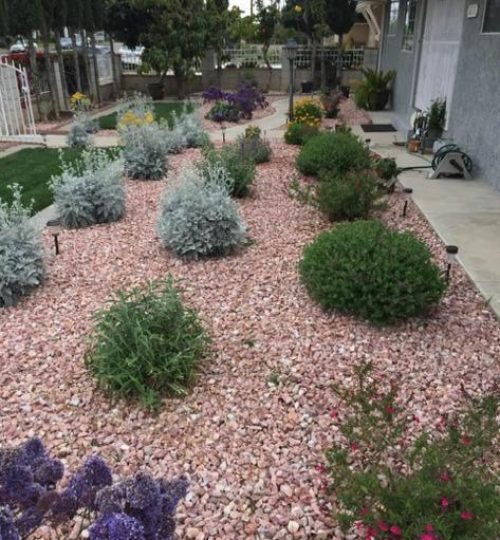 General Native Green Inc, Sustainable Landscape Design California, Sustainable Landscape Design CA, Sustainable Landscape Design Tujunga California, Sustainable Landscape Design Tujunga CA, Native Plants Tujunga California, Native Plants Tujunga CA, Mulch Application Tujunga California, Mulch Application Tujunga CA, Gardening Services Tujunga California, Gardening Services Tujunga CA, General Yard Tujunga California, General Yard Tujunga CA, Water Saving Irrigation Tujunga California, Water Saving Irrigation Tujunga CA, Artificial Turf Tujunga California, Artificial Turf Tujunga CA, Tree Trimming Tujunga California, Tree Trimming Tujunga CA, Brush Clearances Tujunga California, Brush Clearances Tujunga CA, Gutter Cleaning Tujunga California, Gutter Cleaning Tujunga CA, Hardscapes Tujunga California, Hardscapes Tujunga CA, Block Walls Tujunga California, Block Walls Tujunga CA, Landscape Lighting Tujunga California, Landscape Lighting Tujunga CA, Sustainable Landscape Design La Crescenta-Montrose California, Sustainable Landscape Design La Crescenta-Montrose CA, Native Plants La Crescenta-Montrose California, Native Plants La Crescenta-Montrose CA, Mulch Application La Crescenta-Montrose California, Mulch Application La Crescenta-Montrose CA, Gardening Services La Crescenta-Montrose California, Gardening Services La Crescenta-Montrose CA, General Yard La Crescenta-Montrose California, General Yard La Crescenta-Montrose CA, Water Saving Irrigation La Crescenta-Montrose California, Water Saving Irrigation La Crescenta-Montrose CA, Artificial Turf La Crescenta-Montrose California, Artificial Turf La Crescenta-Montrose CA, Tree Trimming La Crescenta-Montrose California, Tree Trimming La Crescenta-Montrose CA, Brush Clearances La Crescenta-Montrose California, Brush Clearances La Crescenta-Montrose CA, Gutter Cleaning La Crescenta-Montrose California, Gutter Cleaning La Crescenta-Montrose CA, Hardscapes La Crescenta-Montrose California, Hardscapes La Crescenta-Montrose CA, Block Walls La Crescenta-Montrose California, Block Walls La Crescenta-Montrose CA, Landscape Lighting La Crescenta-Montrose California, Landscape Lighting La Crescenta-Montrose CA, Sustainable Landscape Design Silver Lake California, Sustainable Landscape Design Silver Lake CA, Native Plants Silver Lake California, Native Plants Silver Lake CA, Mulch Application Silver Lake California, Mulch Application Silver Lake CA, Gardening Services Silver Lake California, Gardening Services Silver Lake CA, General Yard Silver Lake California, General Yard Silver Lake CA, Water Saving Irrigation Silver Lake California, Water Saving Irrigation Silver Lake CA, Artificial Turf Silver Lake California, Artificial Turf Silver Lake CA, Tree Trimming Silver Lake California, Tree Trimming Silver Lake CA, Brush Clearances Silver Lake California, Brush Clearances Silver Lake CA, Gutter Cleaning Silver Lake California, Gutter Cleaning Silver Lake CA, Hardscapes Silver Lake California, Hardscapes Silver Lake CA, Block Walls Silver Lake California, Block Walls Silver Lake CA, Landscape Lighting Silver Lake California, Landscape Lighting Silver Lake CA, Sustainable Landscape Design Echo Park California, Sustainable Landscape Design Echo Park CA, Native Plants Echo Park California, Native Plants Echo Park CA, Mulch Application Echo Park California, Mulch Application Echo Park CA, Gardening Services Echo Park California, Gardening Services Echo Park CA, General Yard Echo Park California, General Yard Echo Park CA, Water Saving Irrigation Echo Park California, Water Saving Irrigation Echo Park CA, Artificial Turf Echo Park California, Artificial Turf Echo Park CA, Tree Trimming Echo Park California, Tree Trimming Echo Park CA, Brush Clearances Echo Park California, Brush Clearances Echo Park CA, Gutter Cleaning Echo Park California, Gutter Cleaning Echo Park CA, Hardscapes Echo Park California, Hardscapes Echo Park CA, Block Walls Echo Park California, Block Walls Echo Park CA, Landscape Lighting Echo Park California, Landscape Lighting Echo Park CA, Sustainable Landscape Design Shadow Hills California, Sustainable Landscape Design Shadow Hills CA, Native Plants Shadow Hills California, Native Plants Shadow Hills CA, Mulch Application Shadow Hills California, Mulch Application Shadow Hills CA, Gardening Services Shadow Hills California, Gardening Services Shadow Hills CA, General Yard Shadow Hills California, General Yard Shadow Hills CA, Water Saving Irrigation Shadow Hills California, Water Saving Irrigation Shadow Hills CA, Artificial Turf Shadow Hills California, Artificial Turf Shadow Hills CA, Tree Trimming Shadow Hills California, Tree Trimming Shadow Hills CA, Brush Clearances Shadow Hills California, Brush Clearances Shadow Hills CA, Gutter Cleaning Shadow Hills California, Gutter Cleaning Shadow Hills CA, Hardscapes Shadow Hills California, Hardscapes Shadow Hills CA, Block Walls Shadow Hills California, Block Walls Shadow Hills CA, Landscape Lighting Shadow Hills California, Landscape Lighting Shadow Hills CA, Sustainable Landscape Design North Hills California, Sustainable Landscape Design North Hills CA, Native Plants North Hills California, Native Plants North Hills CA, Mulch Application North Hills California, Mulch Application North Hills CA, Gardening Services North Hills California, Gardening Services North Hills CA, General Yard North Hills California, General Yard North Hills CA, Water Saving Irrigation North Hills California, Water Saving Irrigation North Hills CA, Artificial Turf North Hills California, Artificial Turf North Hills CA, Tree Trimming North Hills California, Tree Trimming North Hills CA, Brush Clearances North Hills California, Brush Clearances North Hills CA, Gutter Cleaning North Hills California, Gutter Cleaning North Hills CA, Hardscapes North Hills California, Hardscapes North Hills CA, Block Walls North Hills California, Block Walls North Hills CA, Landscape Lighting North Hills California, Landscape Lighting North Hills CA, Sustainable Landscape Design Encino California, Sustainable Landscape Design Encino CA, Native Plants Encino California, Native Plants Encino CA, Mulch Application Encino California, Mulch Application Encino CA, Gardening Services Encino California, Gardening Services Encino CA, General Yard Encino California, General Yard Encino CA, Water Saving Irrigation Encino California, Water Saving Irrigation Encino CA, Artificial Turf Encino California, Artificial Turf Encino CA, Tree Trimming Encino California, Tree Trimming Encino CA, Brush Clearances Encino California, Brush Clearances Encino CA, Gutter Cleaning Encino California, Gutter Cleaning Encino CA, Hardscapes Encino California, Hardscapes Encino CA, Block Walls Encino California, Block Walls Encino CA, Landscape Lighting Encino California, Landscape Lighting Encino CA, Sustainable Landscape Design Reseda California, Sustainable Landscape Design Reseda CA, Native Plants Reseda California, Native Plants Reseda CA, Mulch Application Reseda California, Mulch Application Reseda CA, Gardening Services Reseda California, Gardening Services Reseda CA, General Yard Reseda California, General Yard Reseda CA, Water Saving Irrigation Reseda California, Water Saving Irrigation Reseda CA, Artificial Turf Reseda California, Artificial Turf Reseda CA, Tree Trimming Reseda California, Tree Trimming Reseda CA, Brush Clearances Reseda California, Brush Clearances Reseda CA, Gutter Cleaning Reseda California, Gutter Cleaning Reseda CA, Hardscapes Reseda California, Hardscapes Reseda CA, Block Walls Reseda California, Block Walls Reseda CA, Landscape Lighting Reseda California, Landscape Lighting Reseda CA, Sustainable Landscape Design Van Nuys California, Sustainable Landscape Design Van Nuys CA, Native Plants Van Nuys California, Native Plants Van Nuys CA, Mulch Application Van Nuys California, Mulch Application Van Nuys CA, Gardening Services Van Nuys California, Gardening Services Van Nuys CA, General Yard Van Nuys California, General Yard Van Nuys CA, Water Saving Irrigation Van Nuys California, Water Saving Irrigation Van Nuys CA, Artificial Turf Van Nuys California, Artificial Turf Van Nuys CA, Tree Trimming Van Nuys California, Tree Trimming Van Nuys CA, Brush Clearances Van Nuys California, Brush Clearances Van Nuys CA, Gutter Cleaning Van Nuys California, Gutter Cleaning Van Nuys CA, Hardscapes Van Nuys California, Hardscapes Van Nuys CA, Block Walls Van Nuys California, Block Walls Van Nuys CA, Landscape Lighting Van Nuys California, Landscape Lighting Van Nuys CA, Sustainable Landscape Design North Hollywood California, Sustainable Landscape Design North Hollywood CA, Native Plants North Hollywood California, Native Plants North Hollywood CA, Mulch Application North Hollywood California, Mulch Application North Hollywood CA, Gardening Services North Hollywood California, Gardening Services North Hollywood CA, General Yard North Hollywood California, General Yard North Hollywood CA, Water Saving Irrigation North Hollywood California, Water Saving Irrigation North Hollywood CA, Artificial Turf North Hollywood California, Artificial Turf North Hollywood CA, Tree Trimming North Hollywood California, Tree Trimming North Hollywood CA, Brush Clearances North Hollywood California, Brush Clearances North Hollywood CA, Gutter Cleaning North Hollywood California, Gutter Cleaning North Hollywood CA, Hardscapes North Hollywood California, Hardscapes North Hollywood CA, Block Walls North Hollywood California, Block Walls North Hollywood CA, Landscape Lighting North Hollywood California, Landscape Lighting North Hollywood CA, Sustainable Landscape Design Burbank California, Sustainable Landscape Design Burbank CA, Native Plants Burbank California, Native Plants Burbank CA, Mulch Application Burbank California, Mulch Application Burbank CA, Gardening Services Burbank California, Gardening Services Burbank CA, General Yard Burbank California, General Yard Burbank CA, Water Saving Irrigation Burbank California, Water Saving Irrigation Burbank CA, Artificial Turf Burbank California, Artificial Turf Burbank CA, Tree Trimming Burbank California, Tree Trimming Burbank CA, Brush Clearances Burbank California, Brush Clearances Burbank CA, Gutter Cleaning Burbank California, Gutter Cleaning Burbank CA, Hardscapes Burbank California, Hardscapes Burbank CA, Block Walls Burbank California, Block Walls Burbank CA, Landscape Lighting Burbank California, Landscape Lighting Burbank CA, Sustainable Landscape Design Eagle Rock California, Sustainable Landscape Design Eagle Rock CA, Native Plants Eagle Rock California, Native Plants Eagle Rock CA, Mulch Application Eagle Rock California, Mulch Application Eagle Rock CA, Gardening Services Eagle Rock California, Gardening Services Eagle Rock CA, General Yard Eagle Rock California, General Yard Eagle Rock CA, Water Saving Irrigation Eagle Rock California, Water Saving Irrigation Eagle Rock CA, Artificial Turf Eagle Rock California, Artificial Turf Eagle Rock CA, Tree Trimming Eagle Rock California, Tree Trimming Eagle Rock CA, Brush Clearances Eagle Rock California, Brush Clearances Eagle Rock CA, Gutter Cleaning Eagle Rock California, Gutter Cleaning Eagle Rock CA, Hardscapes Eagle Rock California, Hardscapes Eagle Rock CA, Block Walls Eagle Rock California, Block Walls Eagle Rock CA, Landscape Lighting Eagle Rock California, Landscape Lighting Eagle Rock CA, Sustainable Landscape Design Highland Park California, Sustainable Landscape Design Highland Park CA, Native Plants Highland Park California, Native Plants Highland Park CA, Mulch Application Highland Park California, Mulch Application Highland Park CA, Gardening Services Highland Park California, Gardening Services Highland Park CA, General Yard Highland Park California, General Yard Highland Park CA, Water Saving Irrigation Highland Park California, Water Saving Irrigation Highland Park CA, Artificial Turf Highland Park California, Artificial Turf Highland Park CA, Tree Trimming Highland Park California, Tree Trimming Highland Park CA, Brush Clearances Highland Park California, Brush Clearances Highland Park CA, Gutter Cleaning Highland Park California, Gutter Cleaning Highland Park CA, Hardscapes Highland Park California, Hardscapes Highland Park CA, Block Walls Highland Park California, Block Walls Highland Park CA, Landscape Lighting Highland Park California, Landscape Lighting Highland Park CA, Sustainable Landscape Design San Gabriel California, Sustainable Landscape Design San Gabriel CA, Native Plants San Gabriel California, Native Plants San Gabriel CA, Mulch Application San Gabriel California, Mulch Application San Gabriel CA, Gardening Services San Gabriel California, Gardening Services San Gabriel CA, General Yard San Gabriel California, General Yard San Gabriel CA, Water Saving Irrigation San Gabriel California, Water Saving Irrigation San Gabriel CA, Artificial Turf San Gabriel California, Artificial Turf San Gabriel CA, Tree Trimming San Gabriel California, Tree Trimming San Gabriel CA, Brush Clearances San Gabriel California, Brush Clearances San Gabriel CA, Gutter Cleaning San Gabriel California, Gutter Cleaning San Gabriel CA, Hardscapes San Gabriel California, Hardscapes San Gabriel CA, Block Walls San Gabriel California, Block Walls San Gabriel CA, Landscape Lighting San Gabriel California, Landscape Lighting San Gabriel CA, Sustainable Landscape Design Atwater Village California, Sustainable Landscape Design Atwater Village CA, Native Plants Atwater Village California, Native Plants Atwater Village CA, Mulch Application Atwater Village California, Mulch Application Atwater Village CA, Gardening Services Atwater Village California, Gardening Services Atwater Village CA, General Yard Atwater Village California, General Yard Atwater Village CA, Water Saving Irrigation Atwater Village California, Water Saving Irrigation Atwater Village CA, Artificial Turf Atwater Village California, Artificial Turf Atwater Village CA, Tree Trimming Atwater Village California, Tree Trimming Atwater Village CA, Brush Clearances Atwater Village California, Brush Clearances Atwater Village CA, Gutter Cleaning Atwater Village California, Gutter Cleaning Atwater Village CA, Hardscapes Atwater Village California, Hardscapes Atwater Village CA, Block Walls Atwater Village California, Block Walls Atwater Village CA, Landscape Lighting Atwater Village California, Landscape Lighting Atwater Village CA, Sustainable Landscape Design Altadena California, Sustainable Landscape Design Altadena CA, Native Plants Altadena California, Native Plants Altadena CA, Mulch Application Altadena California, Mulch Application Altadena CA, Gardening Services Altadena California, Gardening Services Altadena CA, General Yard Altadena California, General Yard Altadena CA, Water Saving Irrigation Altadena California, Water Saving Irrigation Altadena CA, Artificial Turf Altadena California, Artificial Turf Altadena CA, Tree Trimming Altadena California, Tree Trimming Altadena CA, Brush Clearances Altadena California, Brush Clearances Altadena CA, Gutter Cleaning Altadena California, Gutter Cleaning Altadena CA, Hardscapes Altadena California, Hardscapes Altadena CA, Block Walls Altadena California, Block Walls Altadena CA, Landscape Lighting Altadena California, Landscape Lighting Altadena CA, Sustainable Landscape Design Pasadena California, Sustainable Landscape Design Pasadena CA, Native Plants Pasadena California, Native Plants Pasadena CA, Mulch Application Pasadena California, Mulch Application Pasadena CA, Gardening Services Pasadena California, Gardening Services Pasadena CA, General Yard Pasadena California, General Yard Pasadena CA, Water Saving Irrigation Pasadena California, Water Saving Irrigation Pasadena CA, Artificial Turf Pasadena California, Artificial Turf Pasadena CA, Tree Trimming Pasadena California, Tree Trimming Pasadena CA, Brush Clearances Pasadena California, Brush Clearances Pasadena CA, Gutter Cleaning Pasadena California, Gutter Cleaning Pasadena CA, Hardscapes Pasadena California, Hardscapes Pasadena CA, Block Walls Pasadena California, Block Walls Pasadena CA, Landscape Lighting Pasadena California, Landscape Lighting Pasadena CA, Sustainable Landscape Design Echo Park California, Sustainable Landscape Design Echo Park CA, Native Plants Echo Park California, Native Plants Echo Park CA, Mulch Application Echo Park California, Mulch Application Echo Park CA, Gardening Services Echo Park California, Gardening Services Echo Park CA, General Yard Echo Park California, General Yard Echo Park CA, Water Saving Irrigation Echo Park California, Water Saving Irrigation Echo Park CA, Artificial Turf Echo Park California, Artificial Turf Echo Park CA, Tree Trimming Echo Park California, Tree Trimming Echo Park CA, Brush Clearances Echo Park California, Brush Clearances Echo Park CA, Gutter Cleaning Echo Park California, Gutter Cleaning Echo Park CA, Hardscapes Echo Park California, Hardscapes Echo Park CA, Block Walls Echo Park California, Block Walls Echo Park CA, Landscape Lighting Echo Park California, Landscape Lighting Echo Park CA, Sustainable Landscape Design Granada Hills California, Sustainable Landscape Design Granada Hills CA, Native Plants Granada Hills California, Native Plants Granada Hills CA, Mulch Application Granada Hills California, Mulch Application Granada Hills CA, Gardening Services Granada Hills California, Gardening Services Granada Hills CA, General Yard Granada Hills California, General Yard Granada Hills CA, Water Saving Irrigation Granada Hills California, Water Saving Irrigation Granada Hills CA, Artificial Turf Granada Hills California, Artificial Turf Granada Hills CA, Tree Trimming Granada Hills California, Tree Trimming Granada Hills CA, Brush Clearances Granada Hills California, Brush Clearances Granada Hills CA, Gutter Cleaning Granada Hills California, Gutter Cleaning Granada Hills CA, Hardscapes Granada Hills California, Hardscapes Granada Hills CA, Block Walls Granada Hills California, Block Walls Granada Hills CA, Landscape Lighting Granada Hills California, Landscape Lighting Granada Hills CA, Sustainable Landscape Design Tarzana California, Sustainable Landscape Design Tarzana CA, Native Plants Tarzana California, Native Plants Tarzana CA, Mulch Application Tarzana California, Mulch Application Tarzana CA, Gardening Services Tarzana California, Gardening Services Tarzana CA, General Yard Tarzana California, General Yard Tarzana CA, Water Saving Irrigation Tarzana California, Water Saving Irrigation Tarzana CA, Artificial Turf Tarzana California, Artificial Turf Tarzana CA, Tree Trimming Tarzana California, Tree Trimming Tarzana CA, Brush Clearances Tarzana California, Brush Clearances Tarzana CA, Gutter Cleaning Tarzana California, Gutter Cleaning Tarzana CA, Hardscapes Tarzana California, Hardscapes Tarzana CA, Block Walls Tarzana California, Block Walls Tarzana CA, Landscape Lighting Tarzana California, Landscape Lighting Tarzana CA, Sustainable Landscape Design Porter Ranch California, Sustainable Landscape Design Porter Ranch CA, Native Plants Porter Ranch California, Native Plants Porter Ranch CA, Mulch Application Porter Ranch California, Mulch Application Porter Ranch CA, Gardening Services Porter Ranch California, Gardening Services Porter Ranch CA, General Yard Porter Ranch California, General Yard Porter Ranch CA, Water Saving Irrigation Porter Ranch California, Water Saving Irrigation Porter Ranch CA, Artificial Turf Porter Ranch California, Artificial Turf Porter Ranch CA, Tree Trimming Porter Ranch California, Tree Trimming Porter Ranch CA, Brush Clearances Porter Ranch California, Brush Clearances Porter Ranch CA, Gutter Cleaning Porter Ranch California, Gutter Cleaning Porter Ranch CA, Hardscapes Porter Ranch California, Hardscapes Porter Ranch CA, Block Walls Porter Ranch California, Block Walls Porter Ranch CA, Landscape Lighting Porter Ranch California, Landscape Lighting Porter Ranch CA,